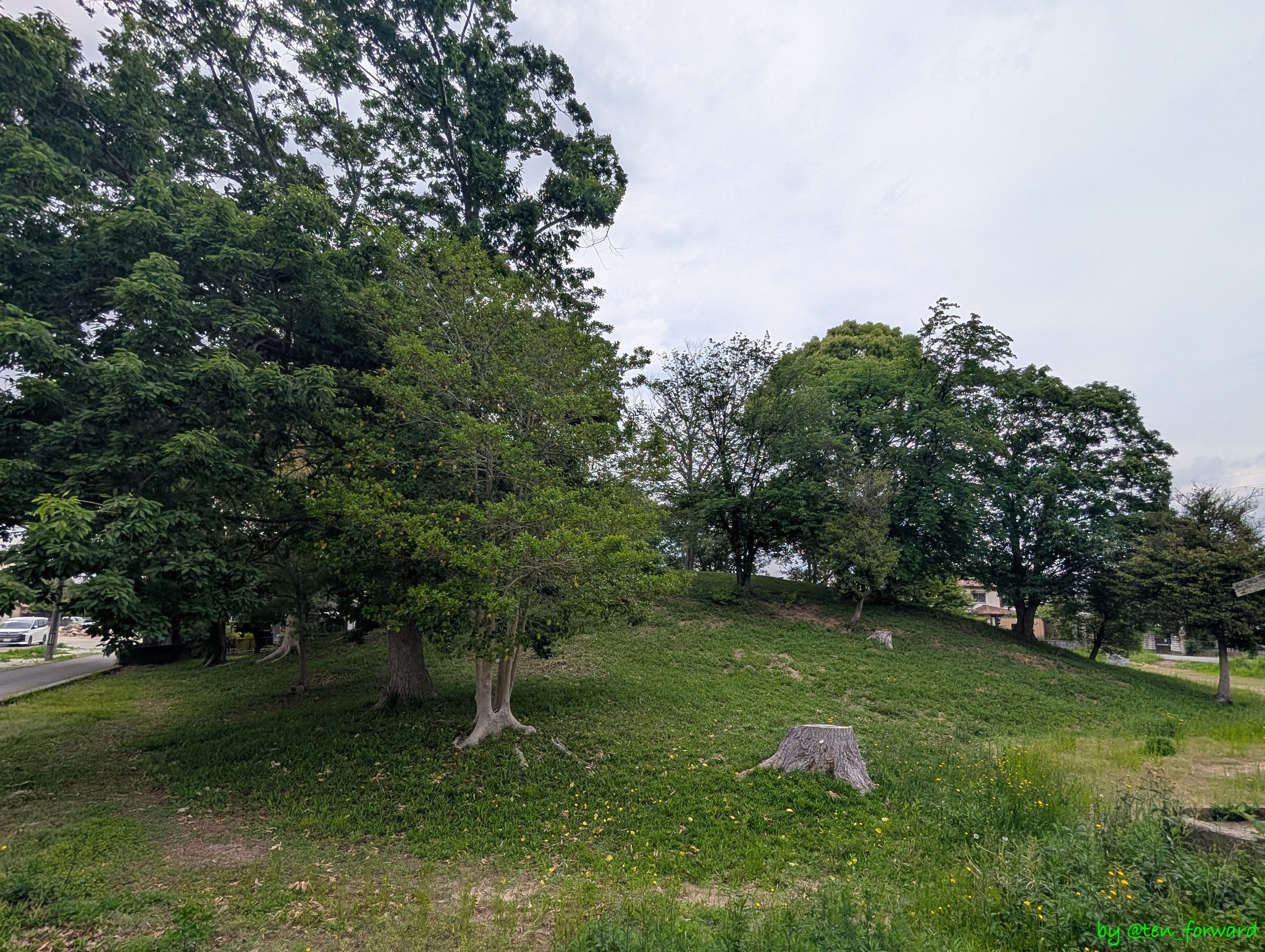 尼塚古墳造出部(南東側)