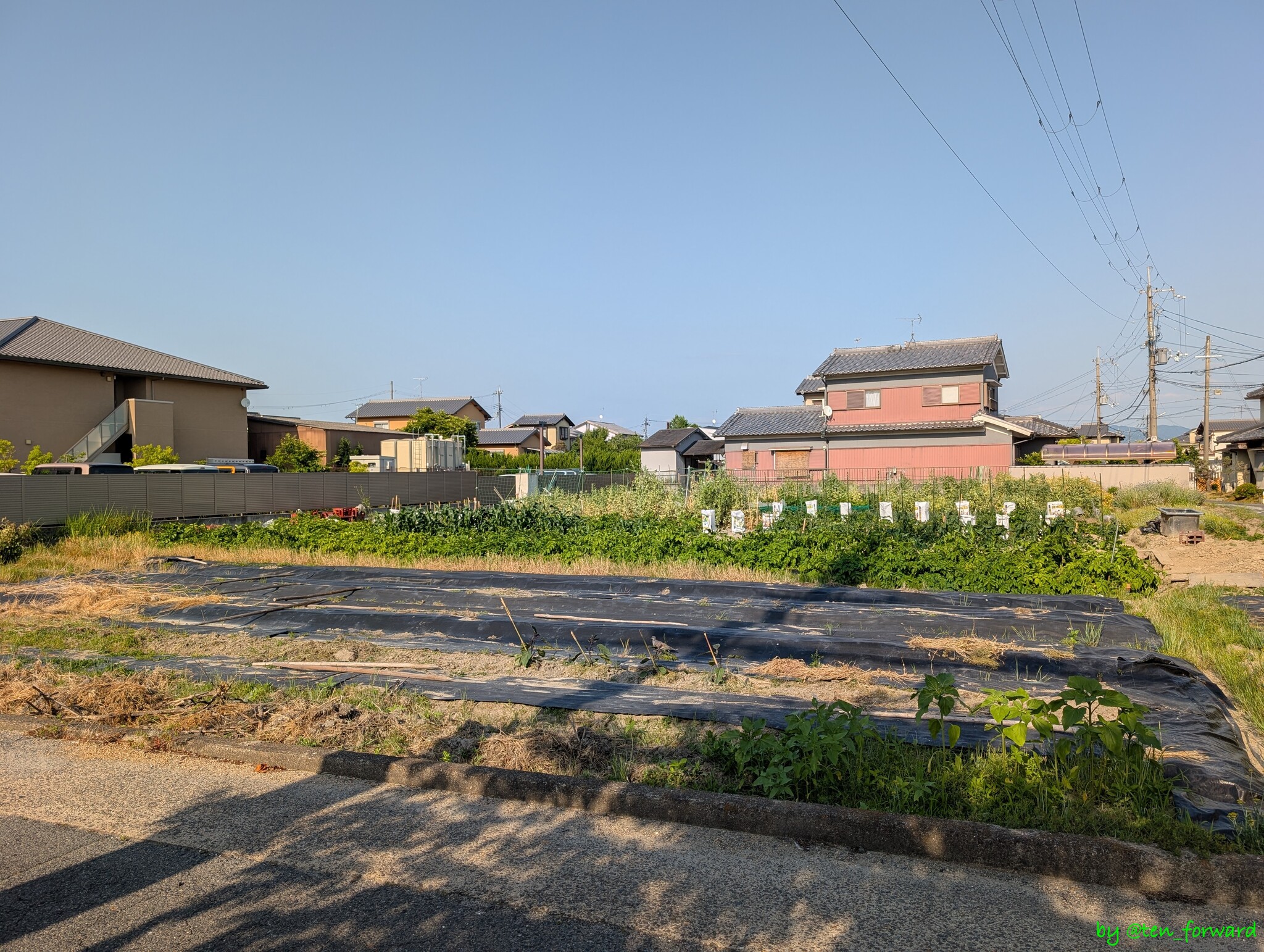 ヒヅメ金塚古墳