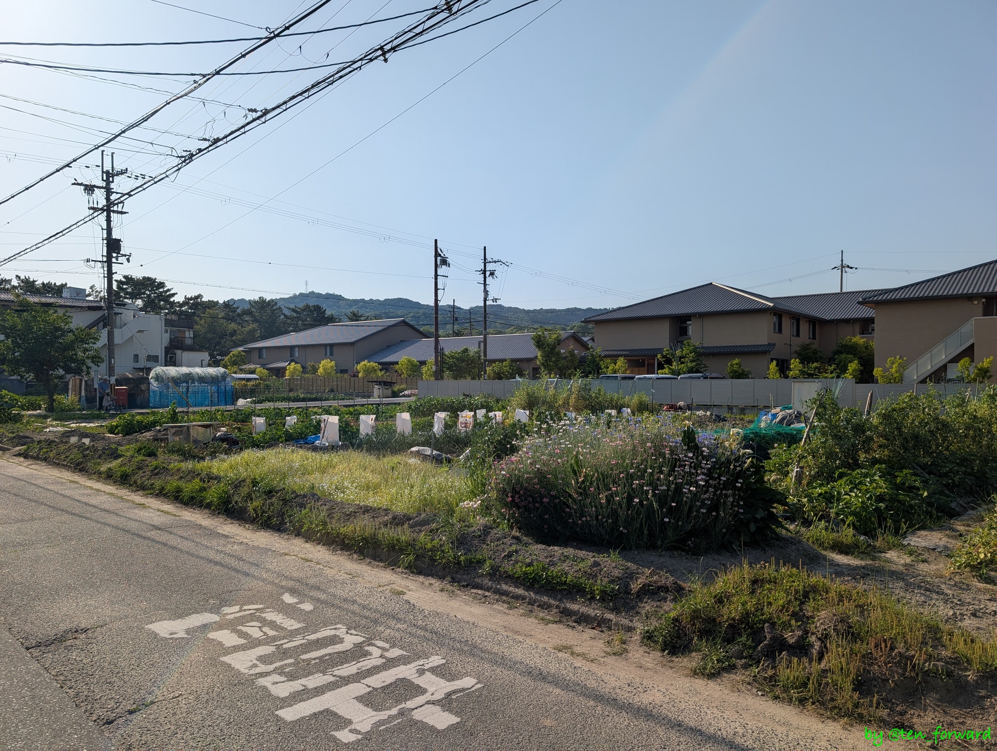 ヒヅメ金塚古墳