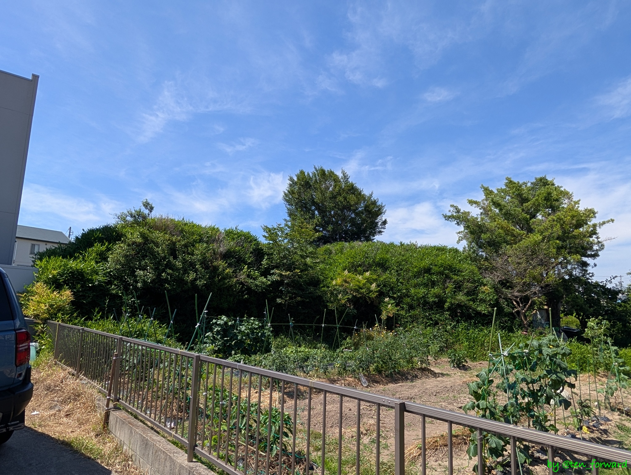 東川古墳