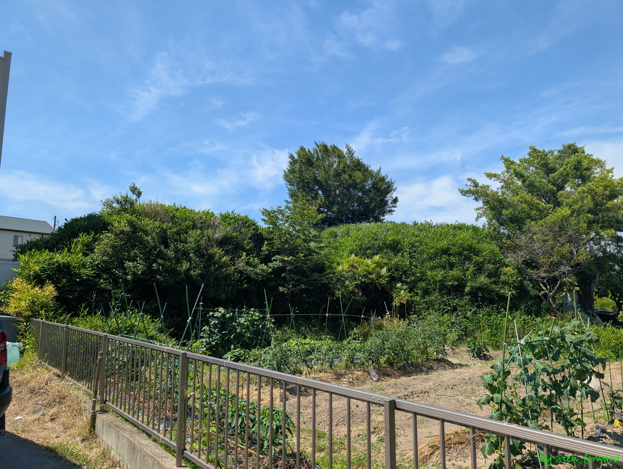 東川古墳