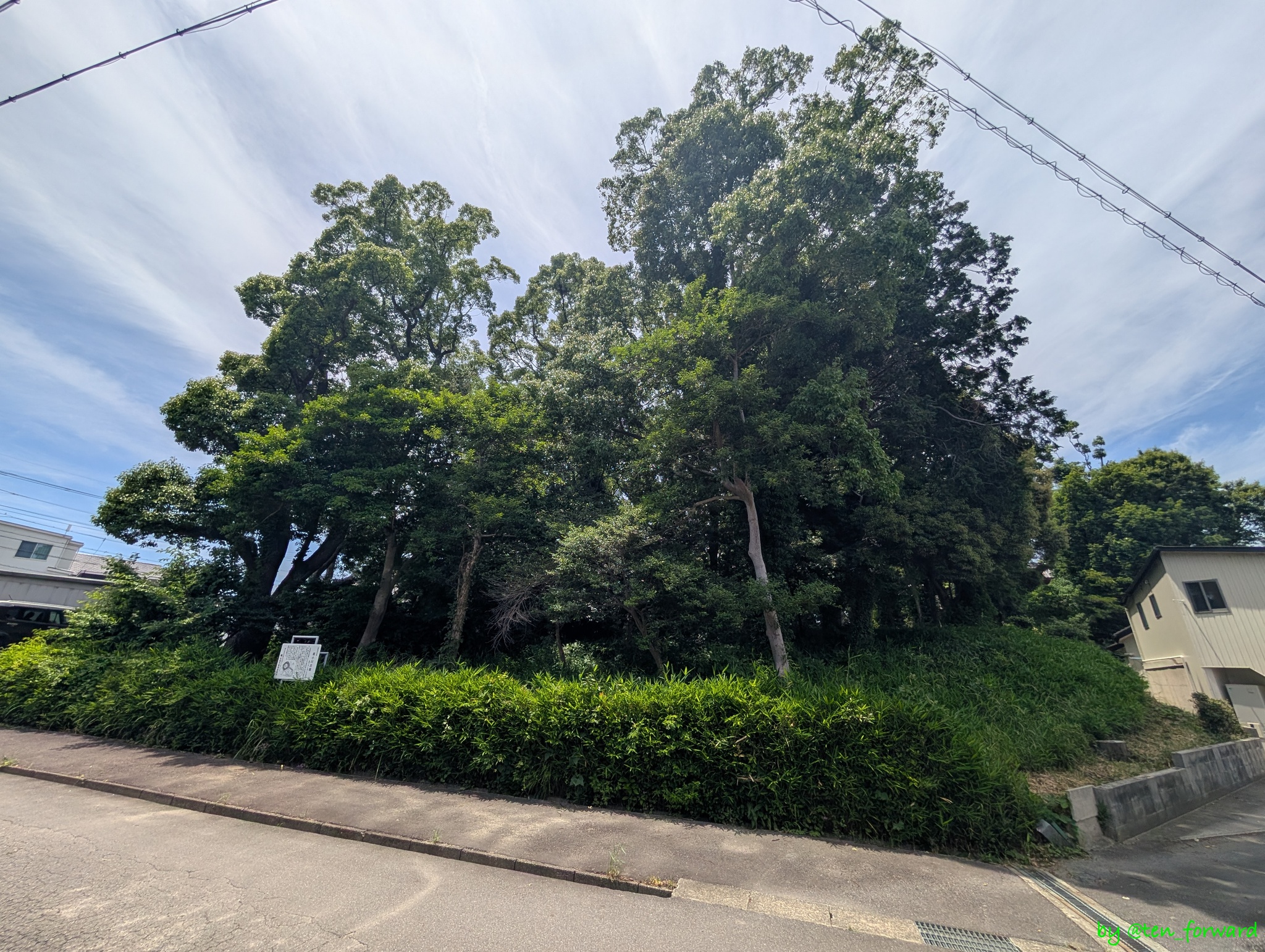 姫小川古墳東側から