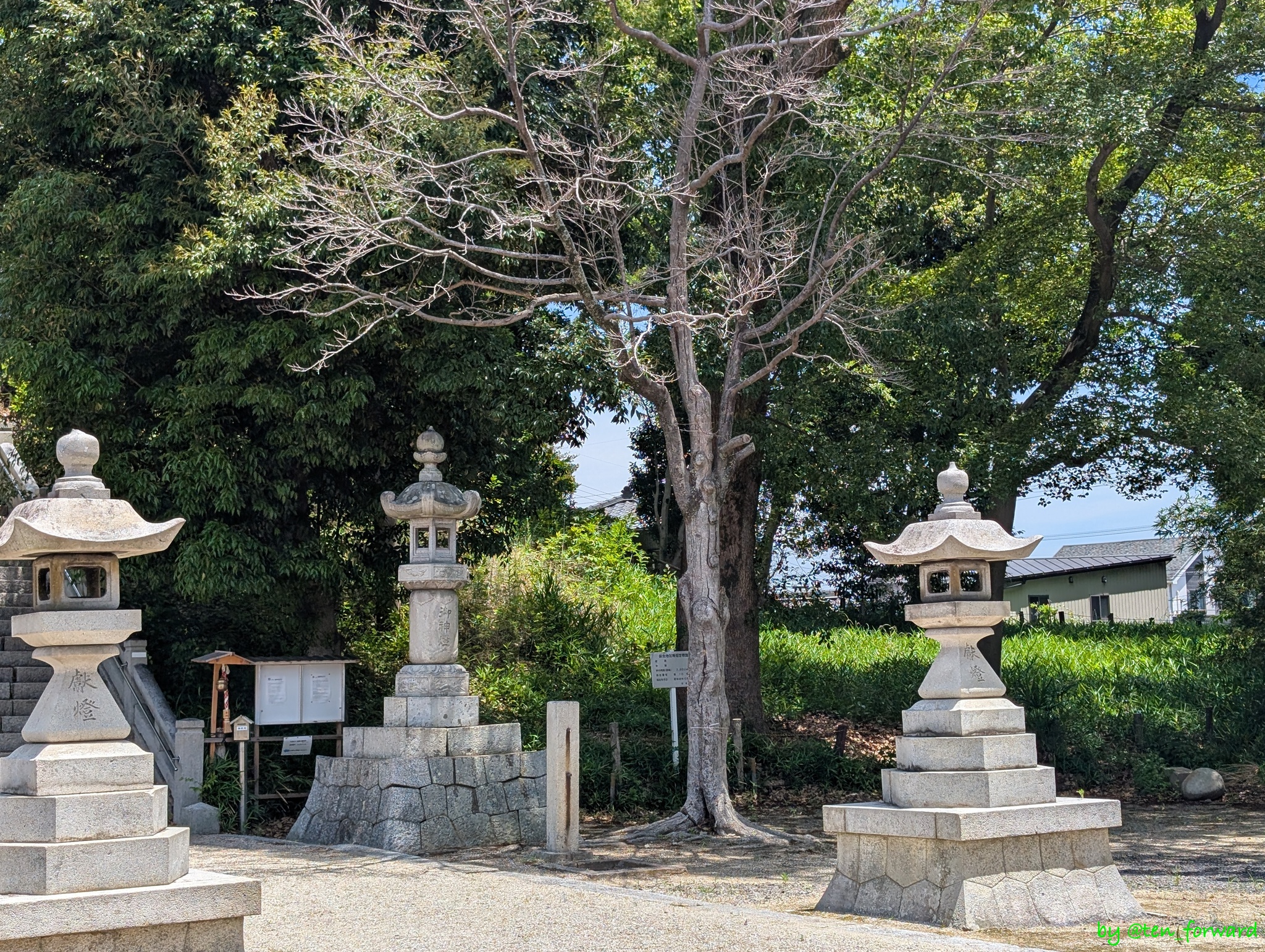 姫小川古墳前方部
