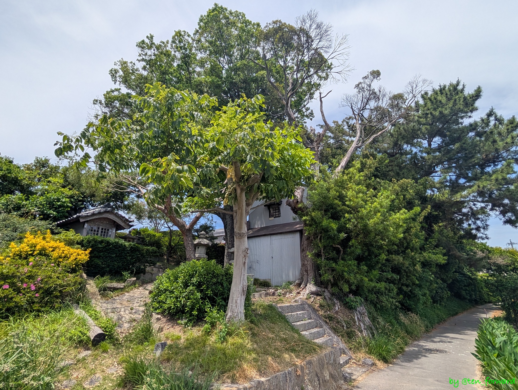 加美古墳