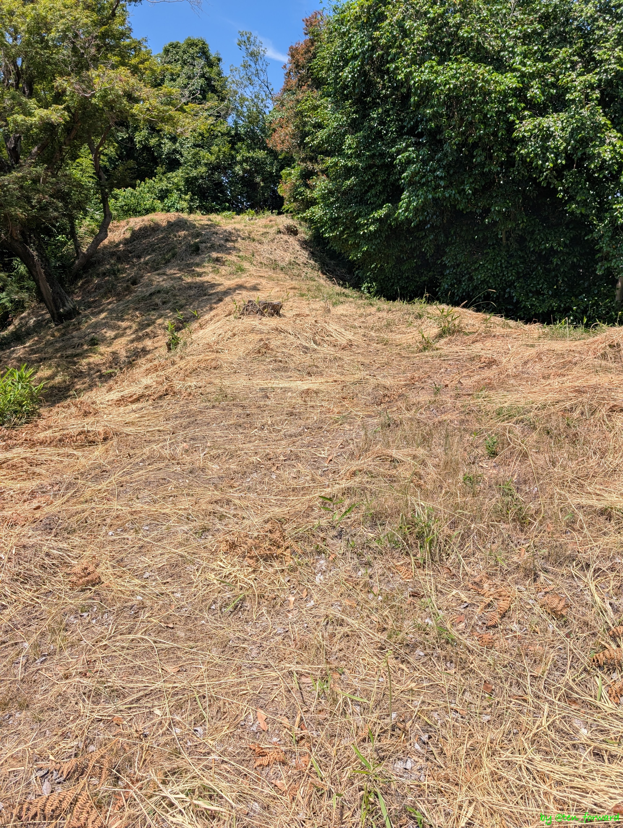 塚越古墳（後円部から前方部）