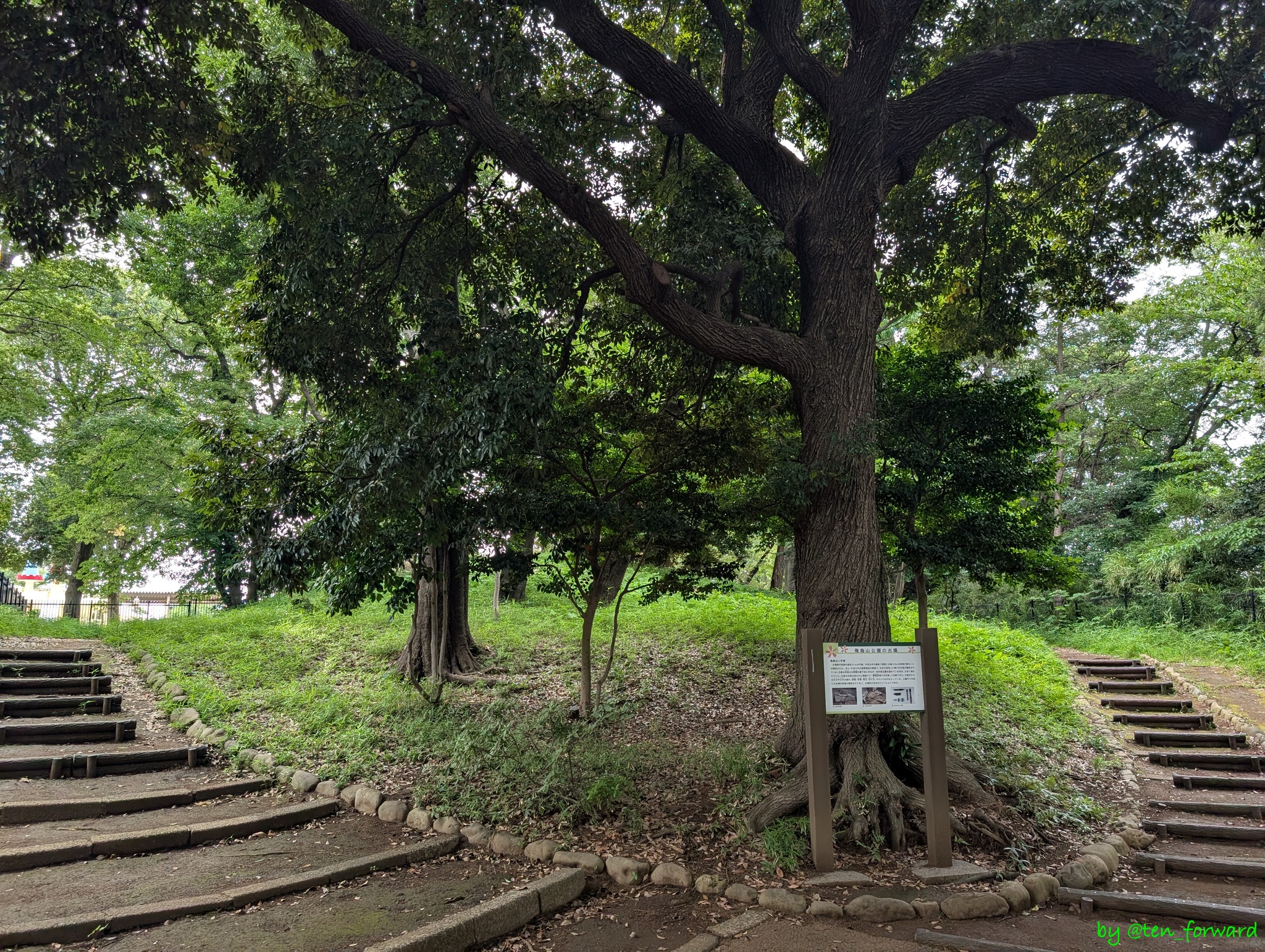 Featured image of post 飛鳥山1号墳