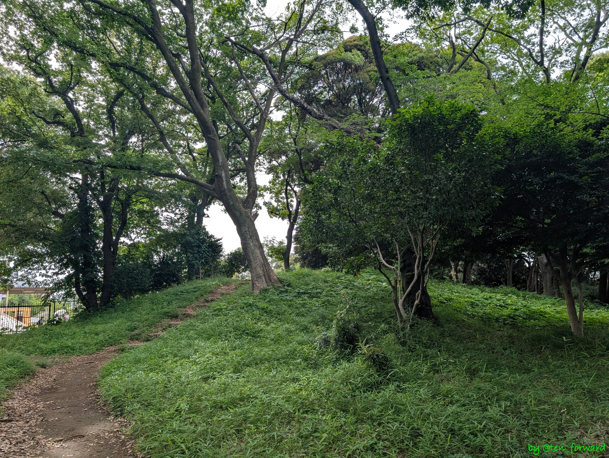 飛鳥山1号墳