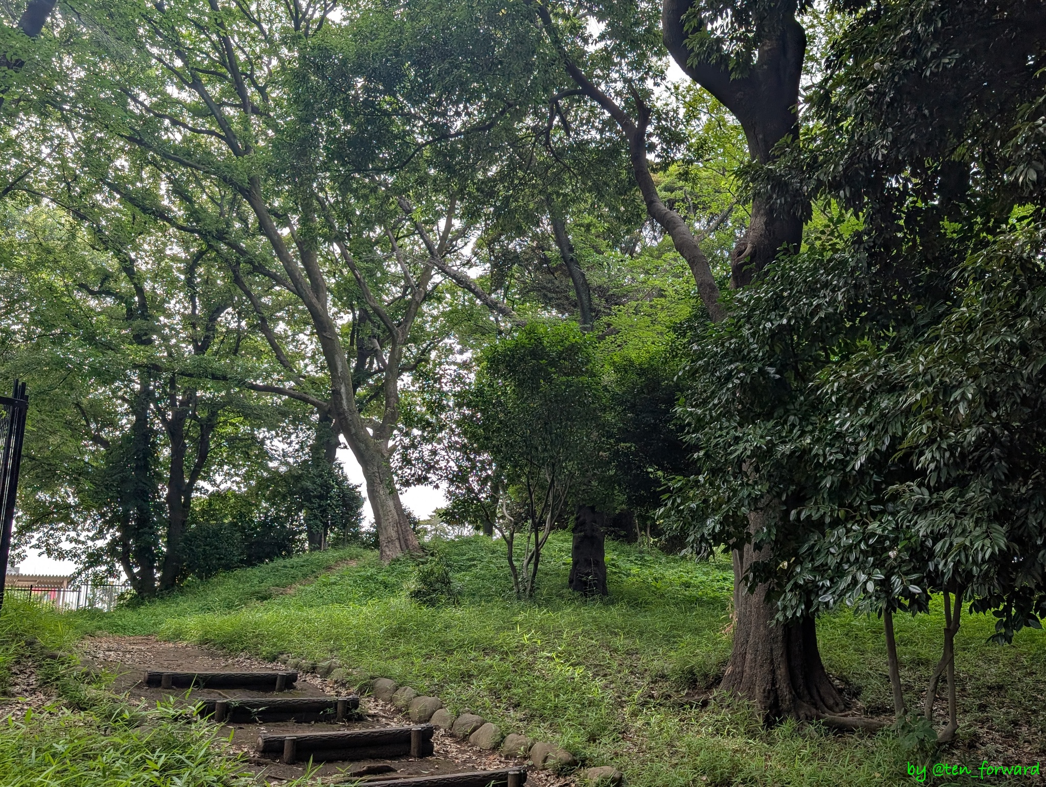 飛鳥山1号墳