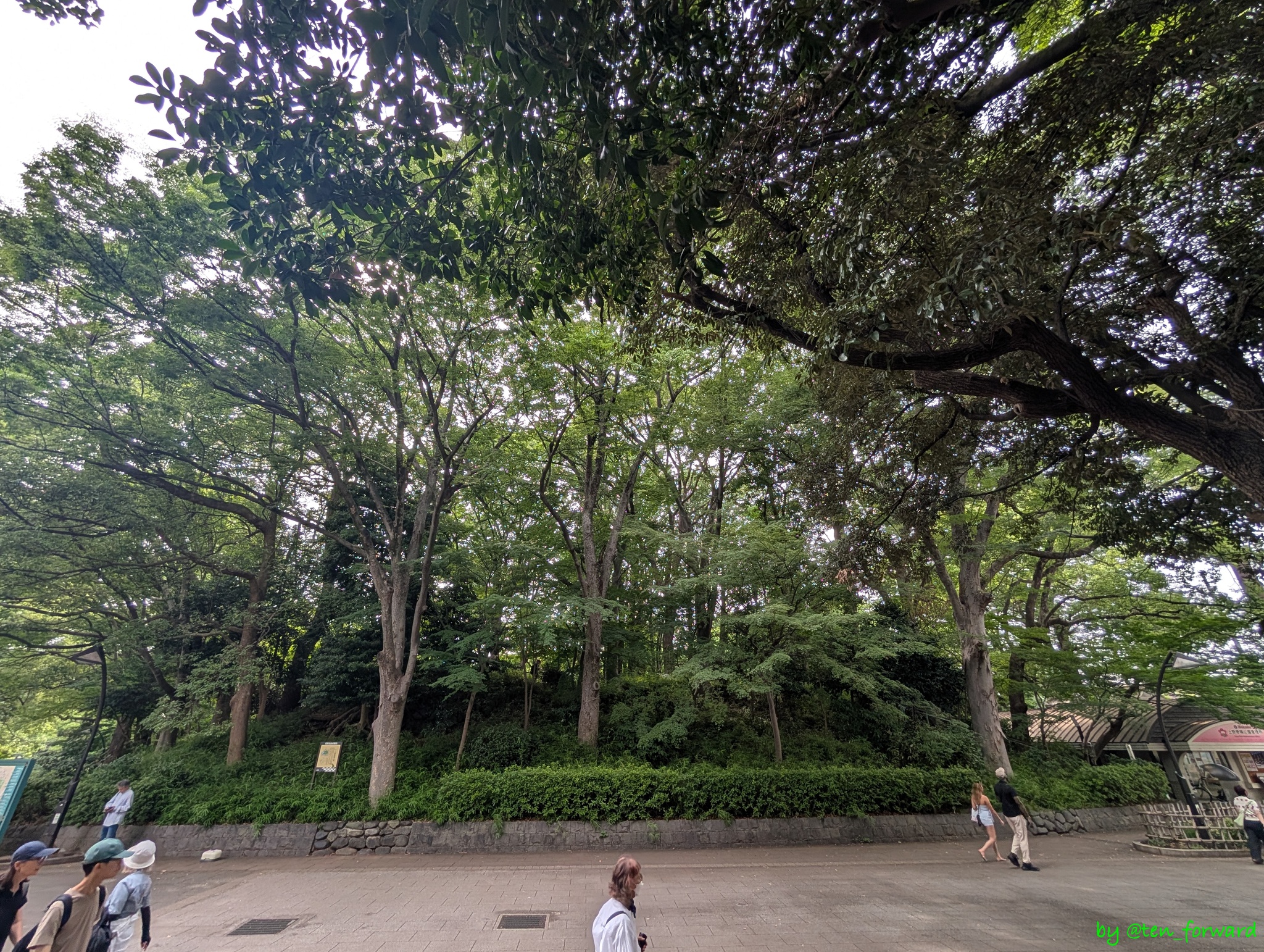 摺鉢山古墳