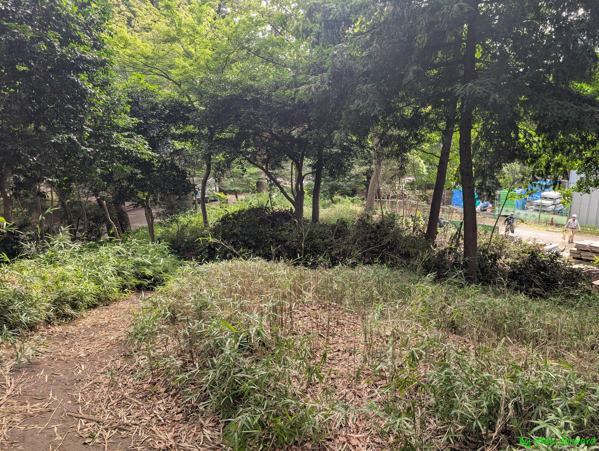 摺鉢山古墳前方部