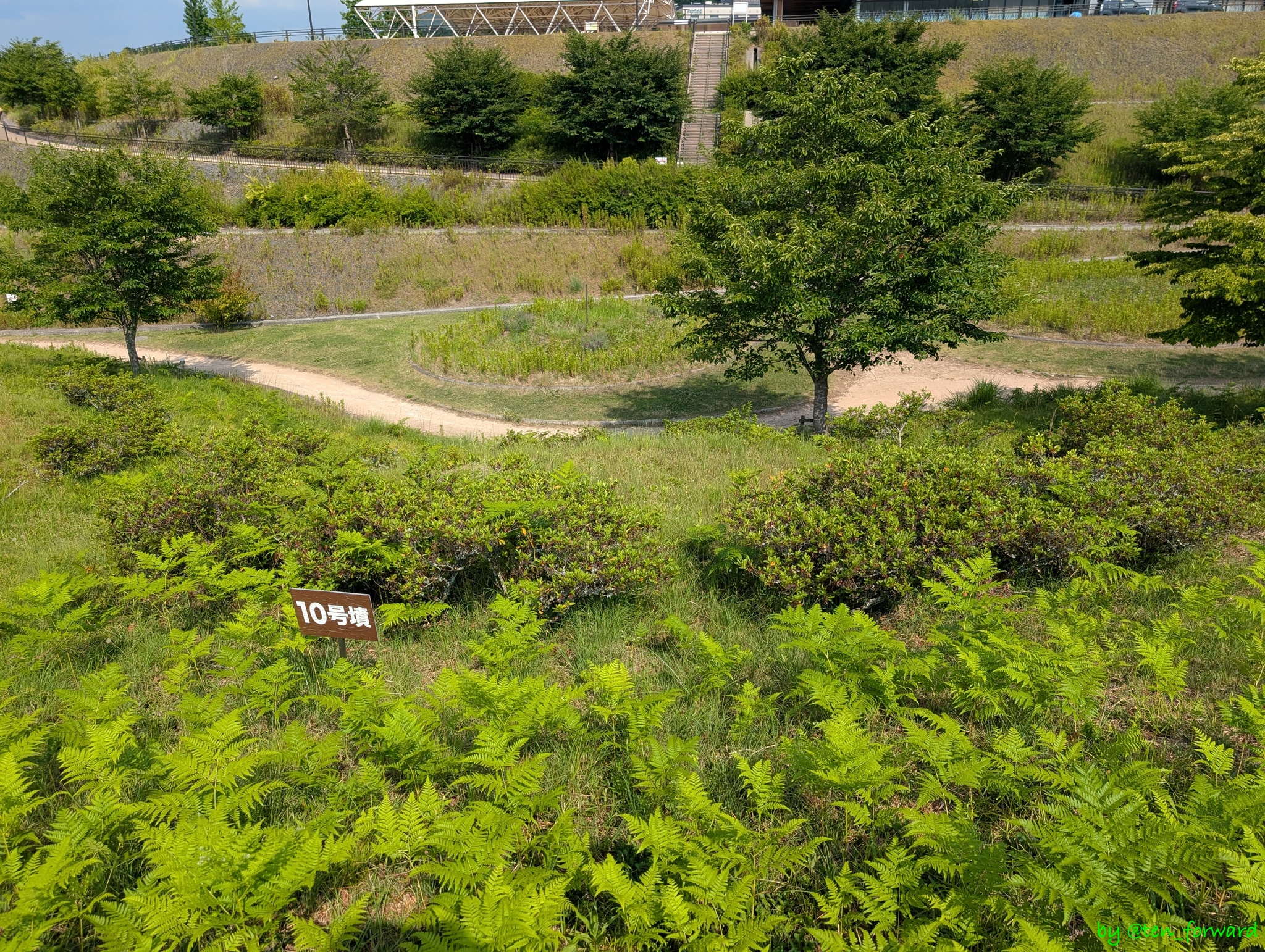 塩谷古墳群10号墳