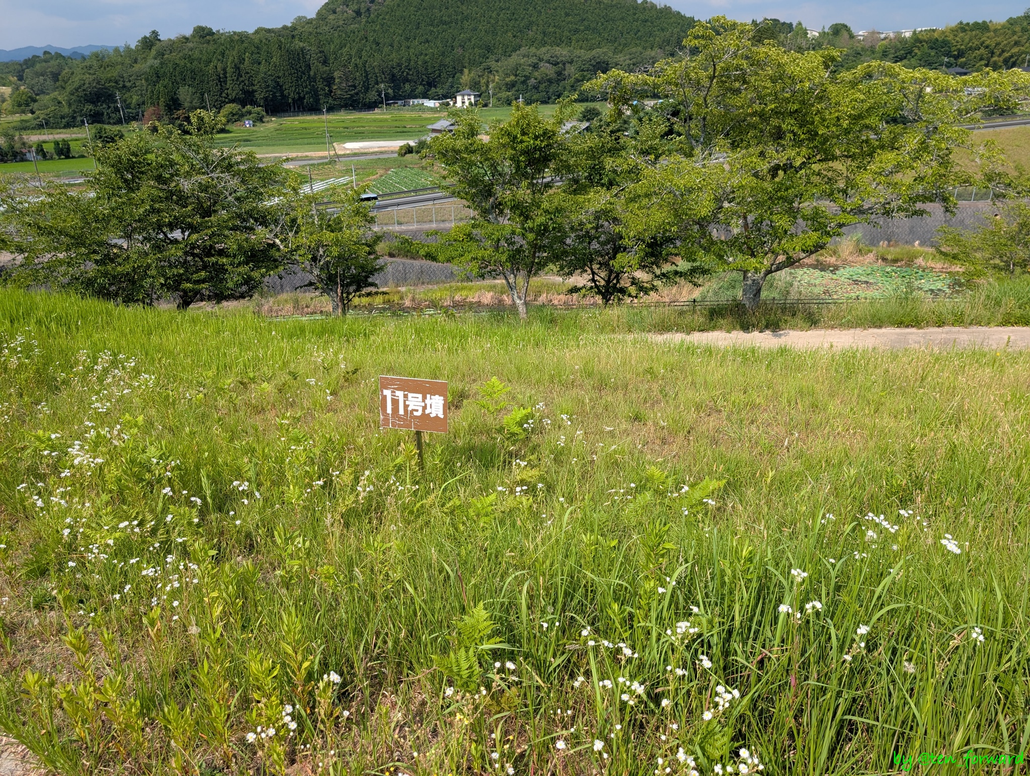 塩谷古墳群11号墳